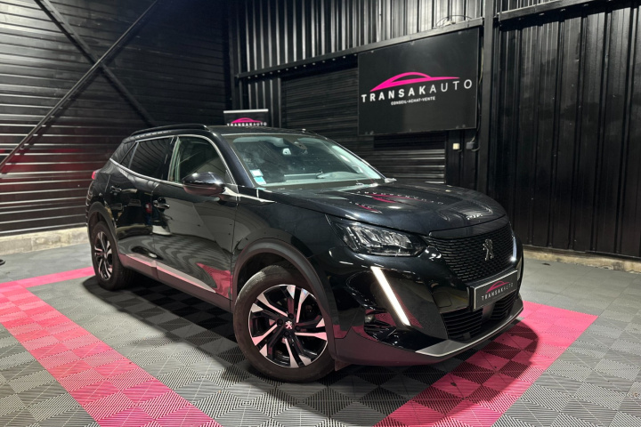 PEUGEOT 2008 BUSINESS